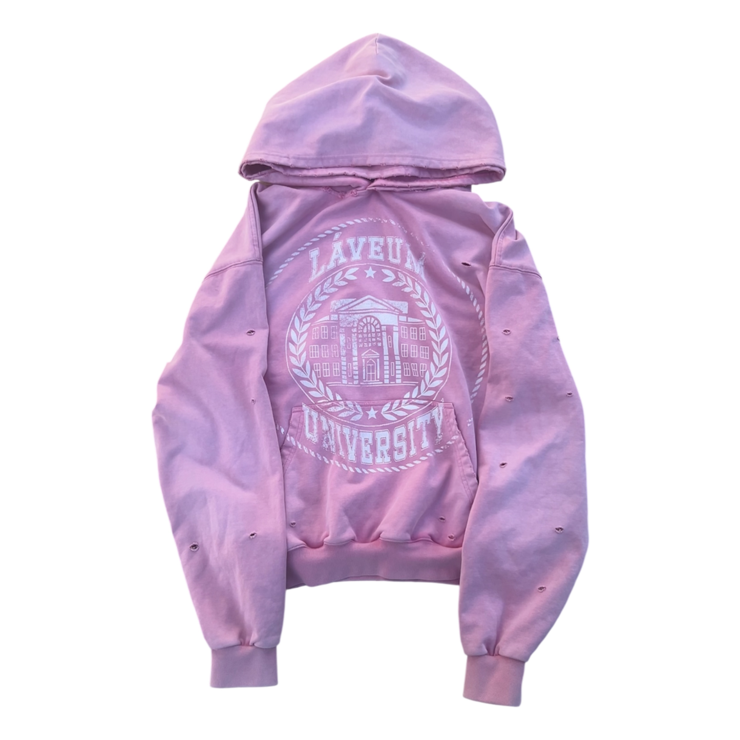 Laveum "University" Pink Hoodie